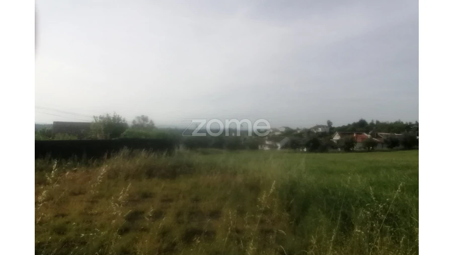 Terreno para Venda em Campo de Besteiros Foto 12