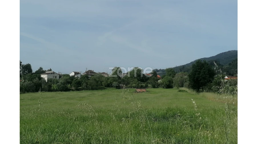 Terreno para Venda em Campo de Besteiros Foto 11