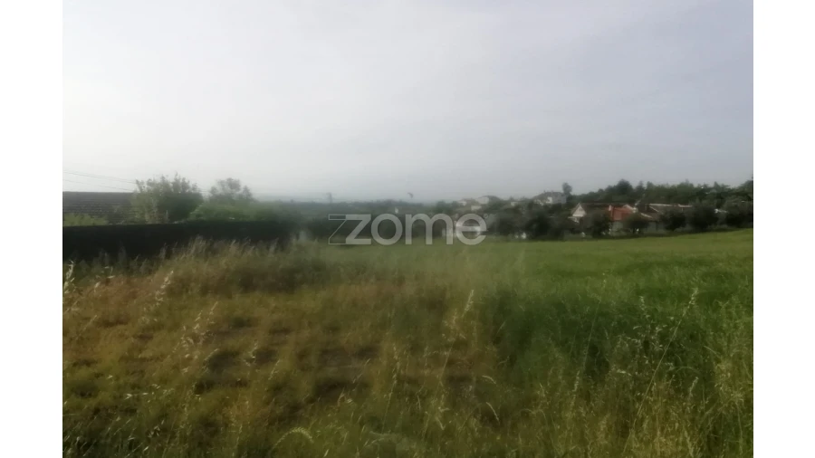 Terreno para Venda em Campo de Besteiros Foto 5