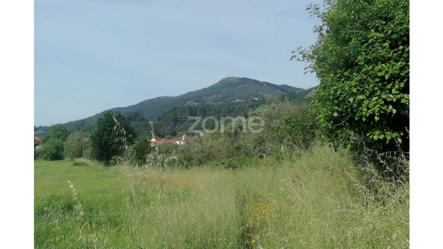 Terreno para Venda em Campo de Besteiros Foto 7