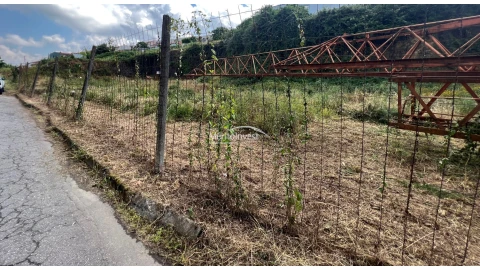 Terreno para Venda em Lomar e Arcos