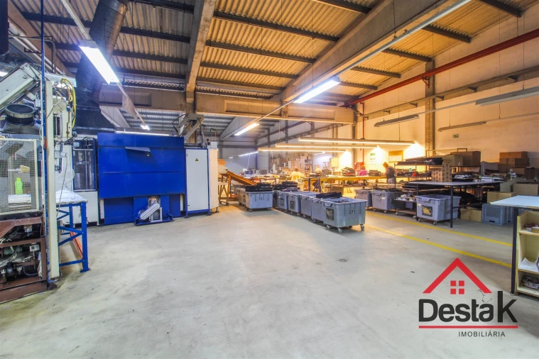 Negócio para Venda em Oliveira de Frades, Souto de Lafões e Sejães Foto 8