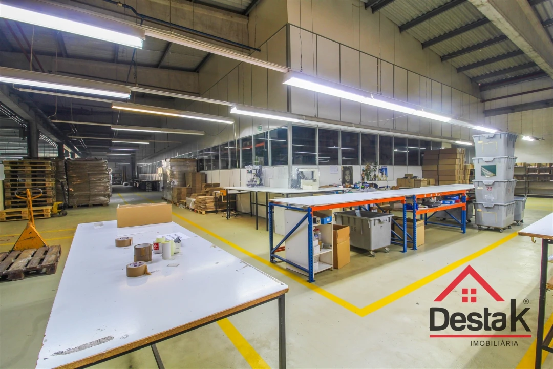 Negócio para Venda em Oliveira de Frades, Souto de Lafões e Sejães Foto 9