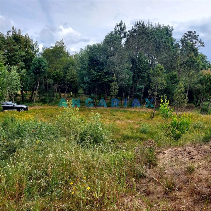 Moradia T0 para Venda em Cadima Foto 3