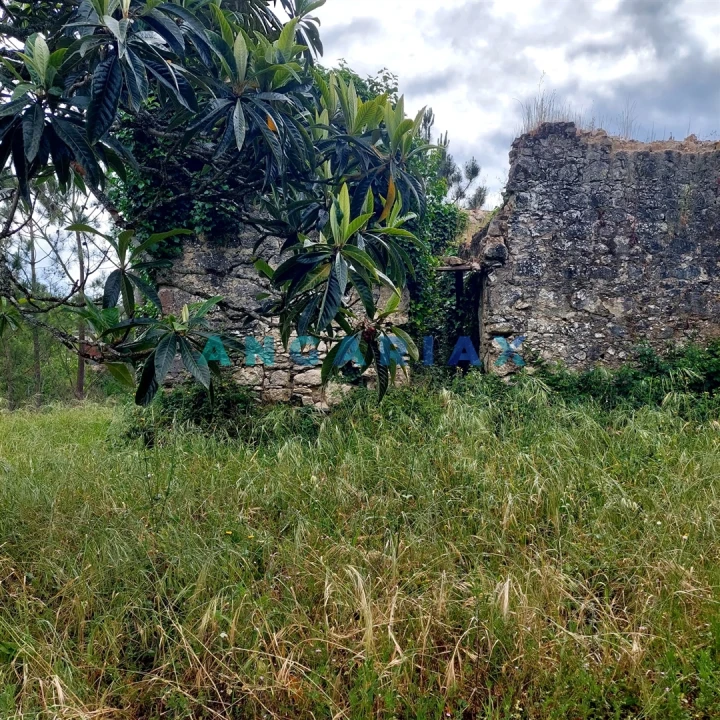 Moradia T0 para Venda em Cadima Foto 5