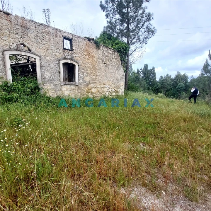 Moradia T0 para Venda em Cadima Foto 4