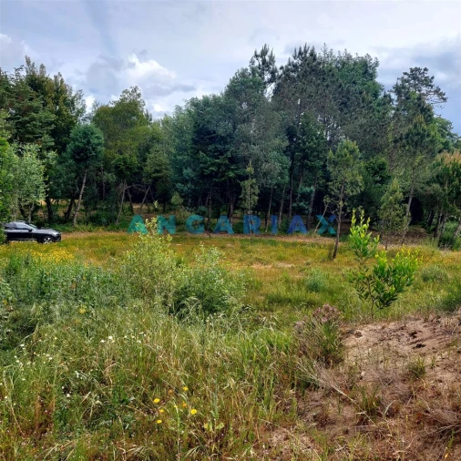 Moradia T0 para Venda em Cadima Foto 2