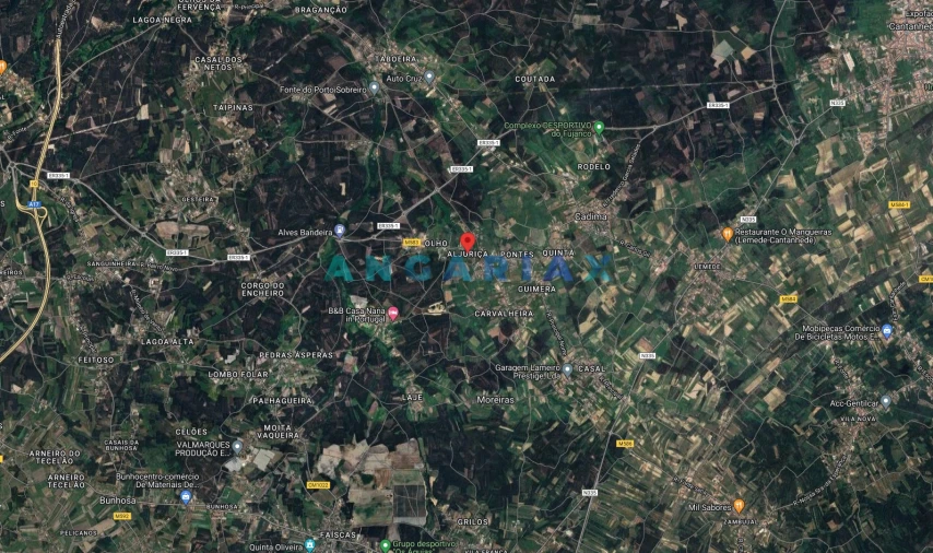 Moradia T0 para Venda em Cadima Foto 19