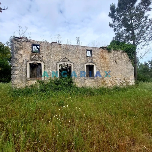 Moradia T0 para Venda em Cadima