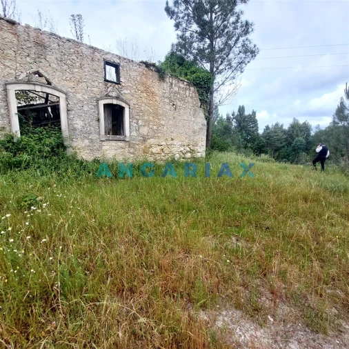 Moradia T0 para Venda em Cadima Foto 3