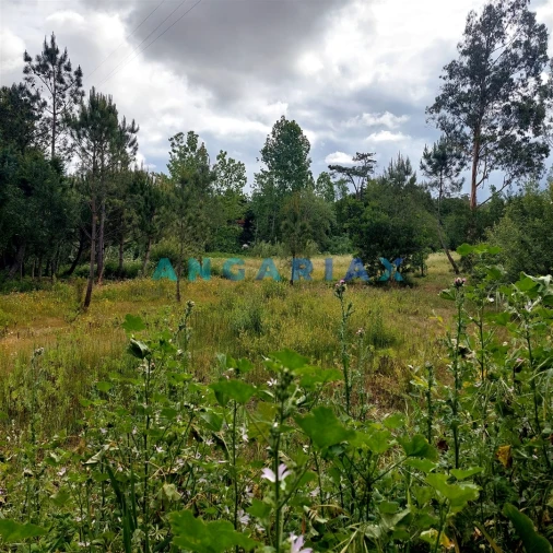 Moradia T0 para Venda em Cadima Foto 7