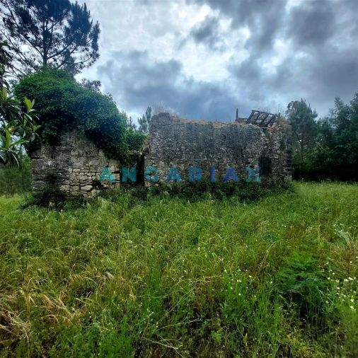 Moradia T0 para Venda em Cadima Foto 6