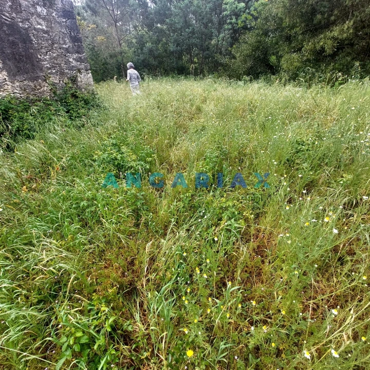 Moradia T0 para Venda em Cadima Foto 12