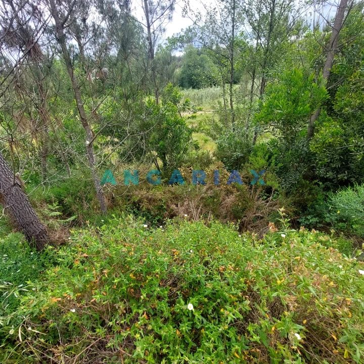 Moradia T0 para Venda em Cadima Foto 11