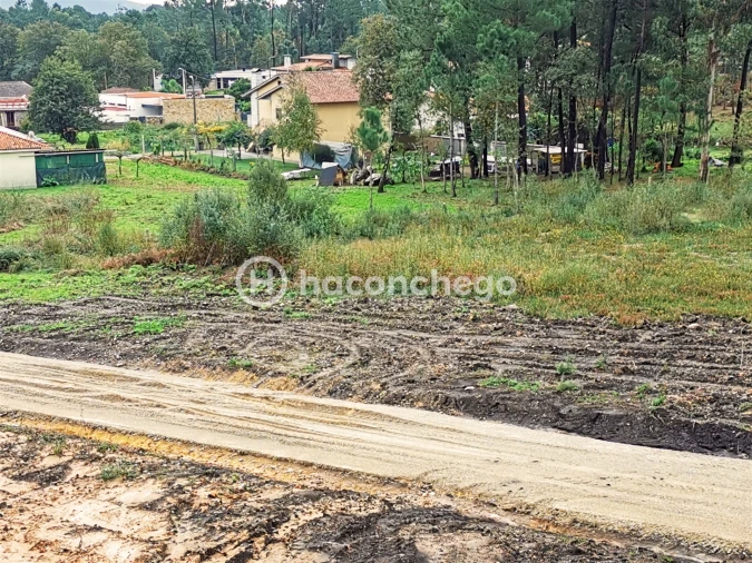 Terreno para Venda em Pero Viseu Foto 12