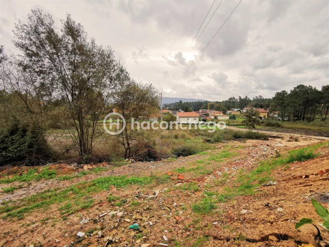 Terreno para Venda em Pero Viseu Foto 14