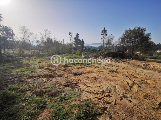 Terreno para Venda em Pero Viseu Foto 6