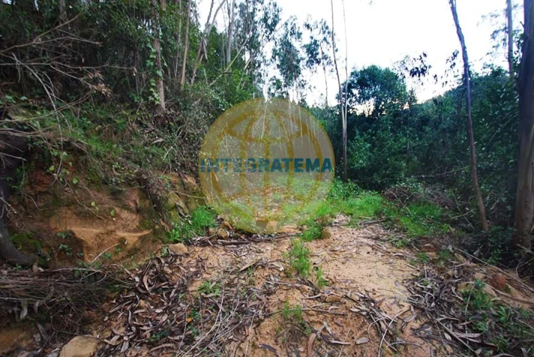 Quinta para Venda em Amoreira Foto 27