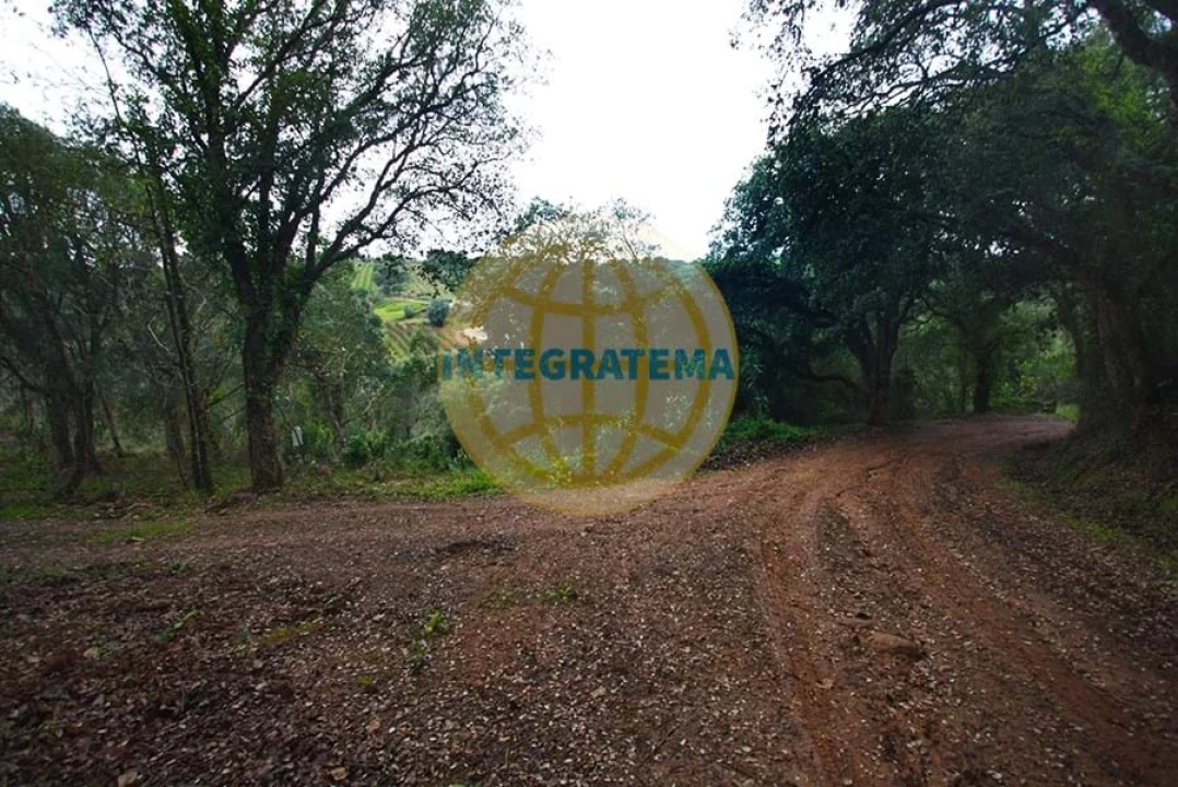 Quinta para Venda em Amoreira Foto 1