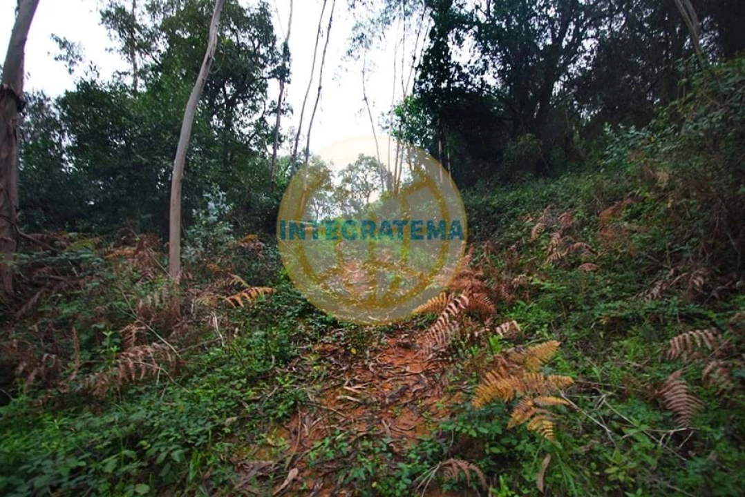 Quinta para Venda em Amoreira Foto 36