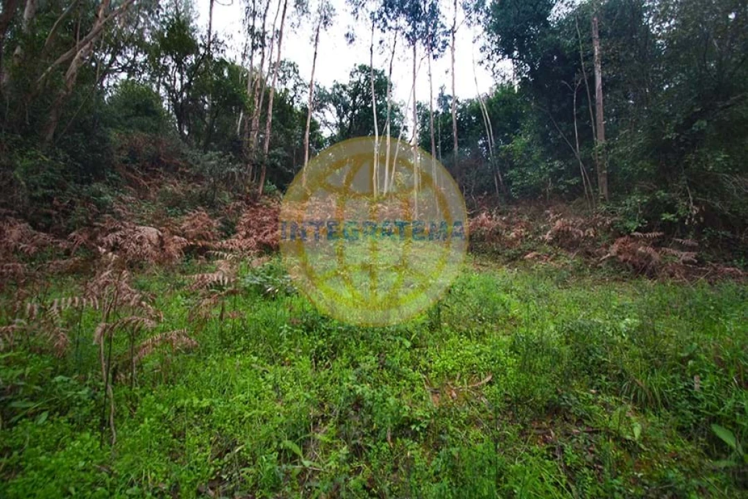 Quinta para Venda em Amoreira Foto 18