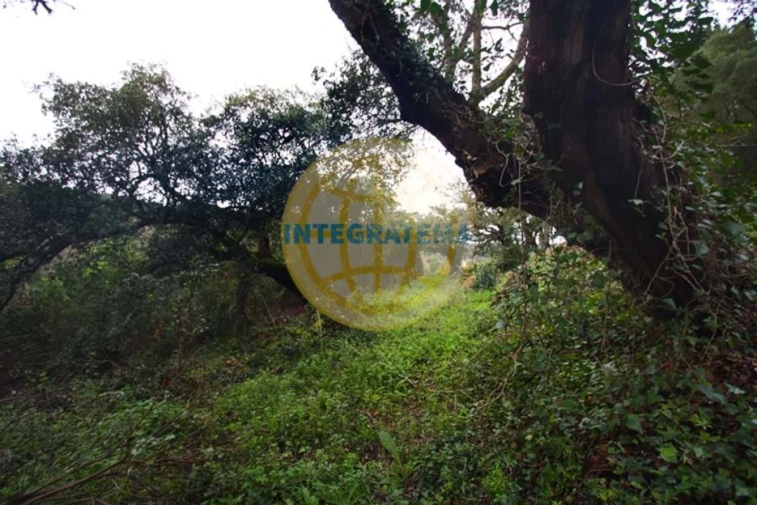 Quinta para Venda em Amoreira Foto 42