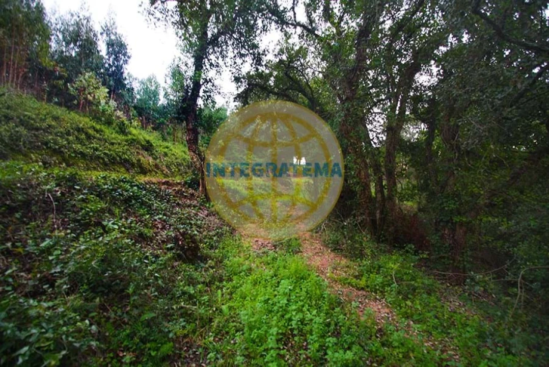 Quinta para Venda em Amoreira Foto 43