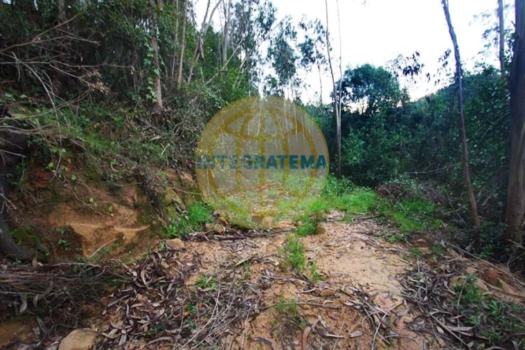 Quinta para Venda em Amoreira Foto 27