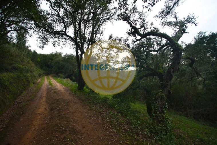 Quinta para Venda em Amoreira Foto 3