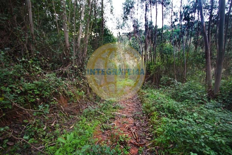 Quinta para Venda em Amoreira Foto 30