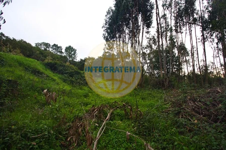 Quinta para Venda em Amoreira Foto 38