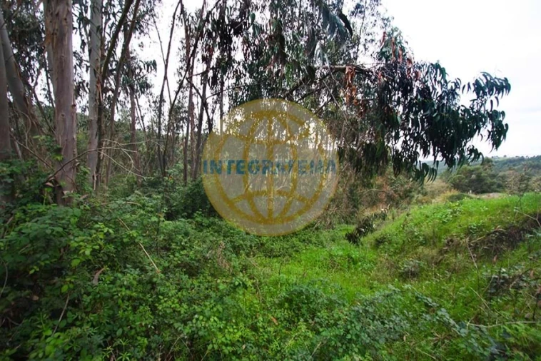 Quinta para Venda em Amoreira Foto 39