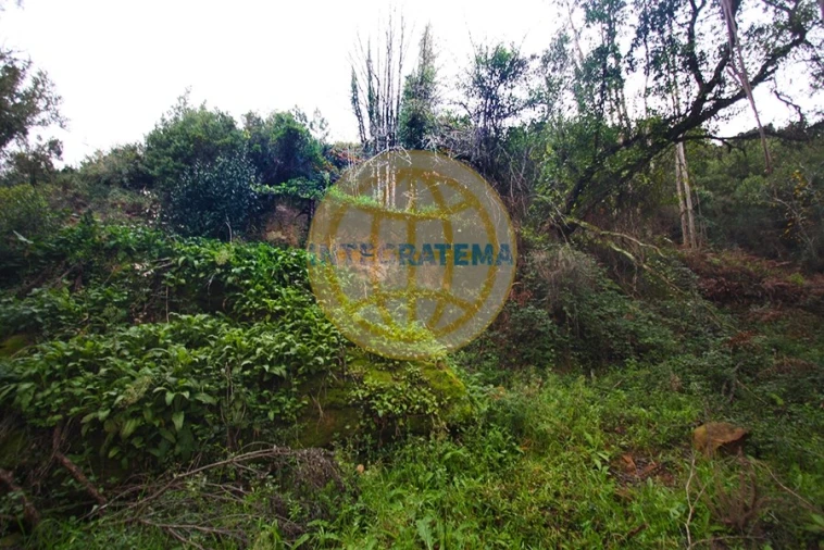 Quinta para Venda em Amoreira Foto 33