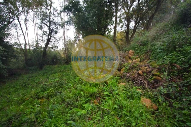 Quinta para Venda em Amoreira Foto 35