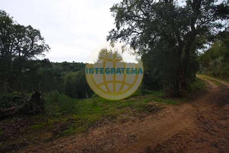 Quinta para Venda em Amoreira Foto 2