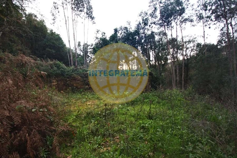 Quinta para Venda em Amoreira Foto 34