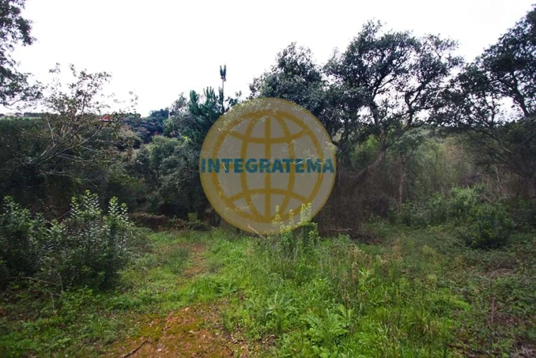 Quinta para Venda em Amoreira Foto 8