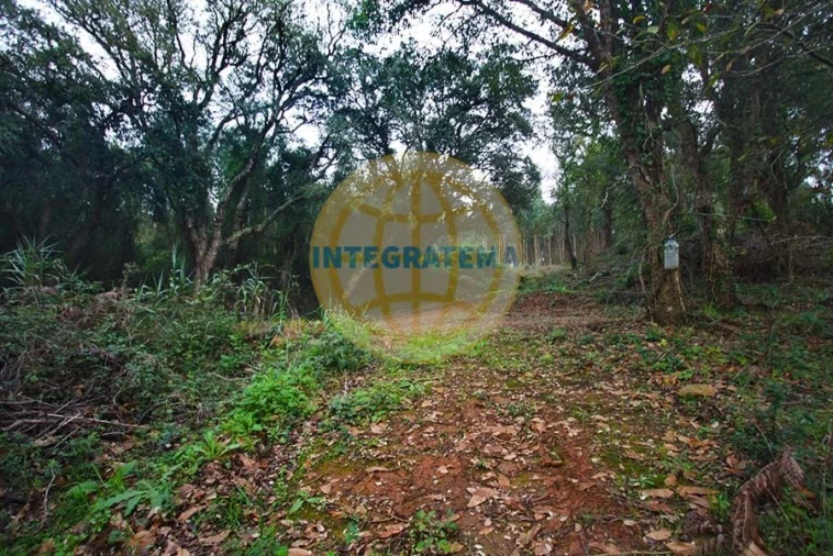 Quinta para Venda em Amoreira Foto 7