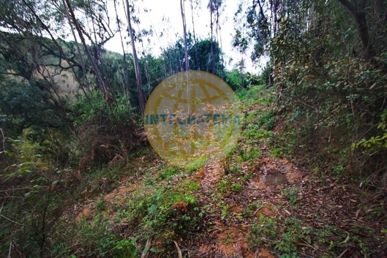 Quinta para Venda em Amoreira Foto 21