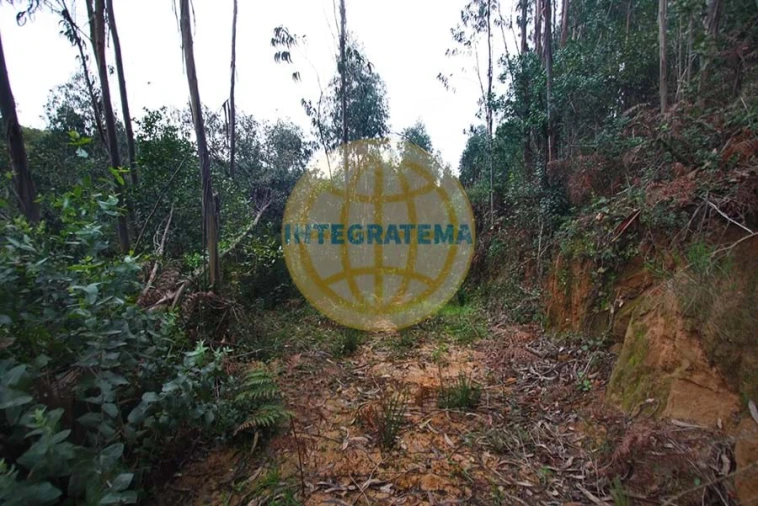 Quinta para Venda em Amoreira Foto 23