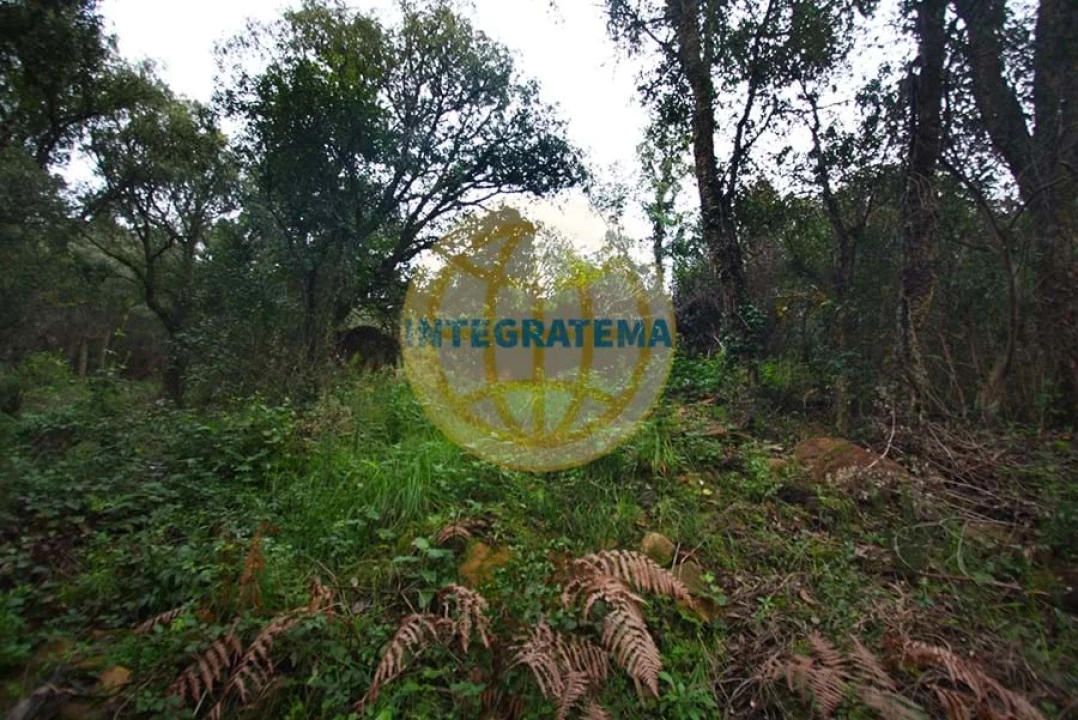 Quinta para Venda em Amoreira Foto 12