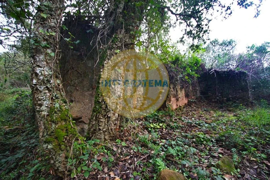 Quinta para Venda em Amoreira Foto 11