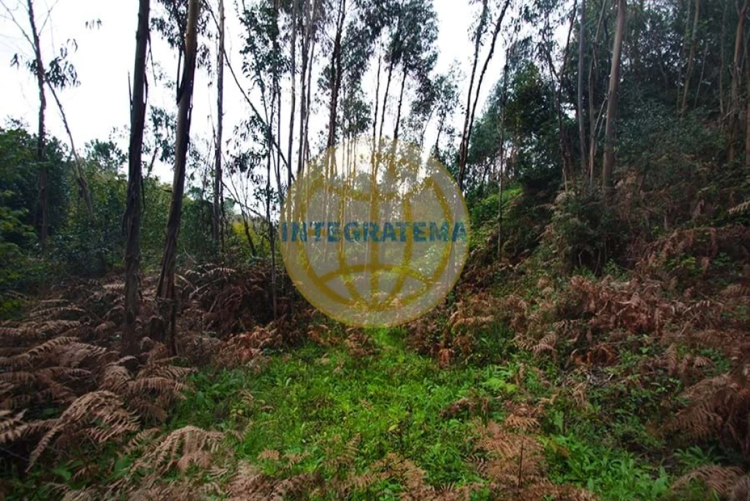 Quinta para Venda em Amoreira Foto 25