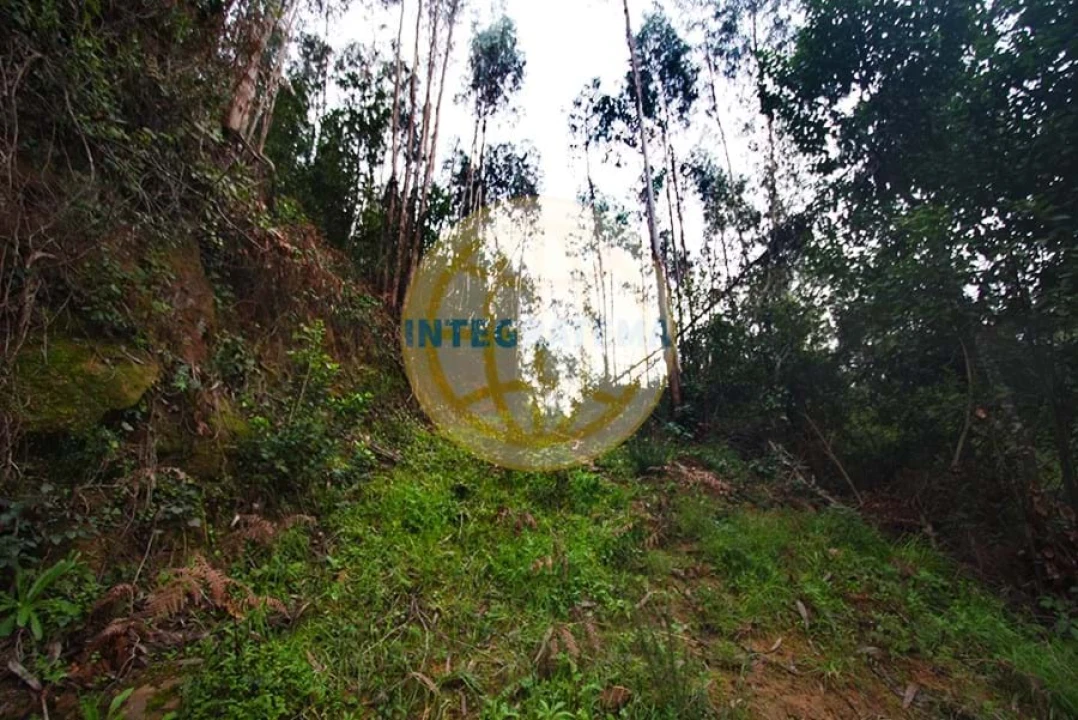 Quinta para Venda em Amoreira Foto 24