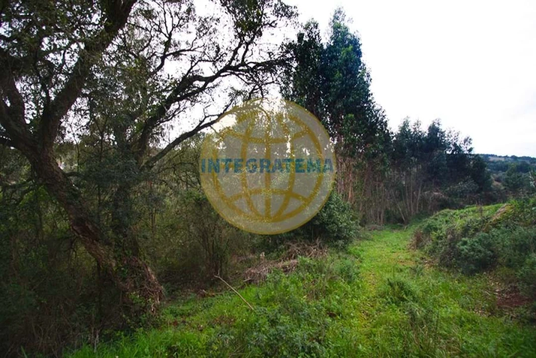 Quinta para Venda em Amoreira Foto 41