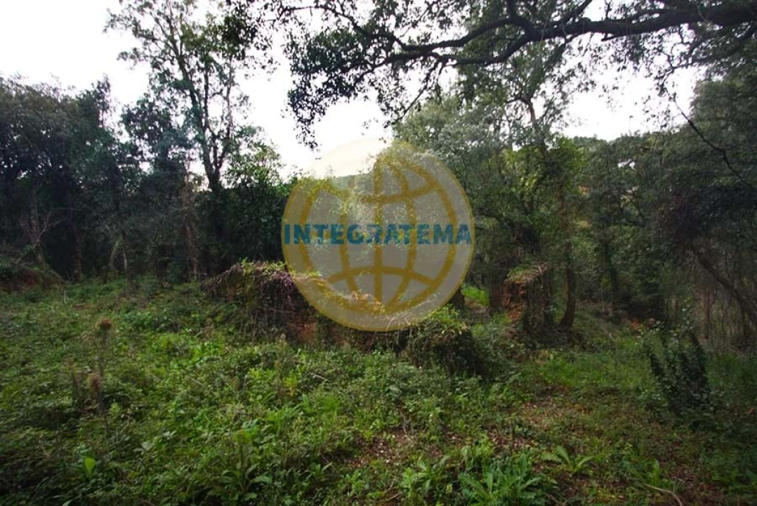 Quinta para Venda em Amoreira Foto 9