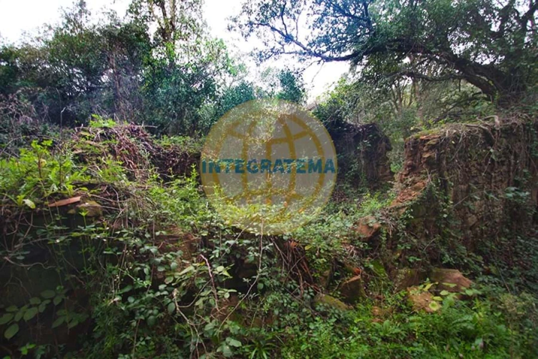 Quinta para Venda em Amoreira Foto 10