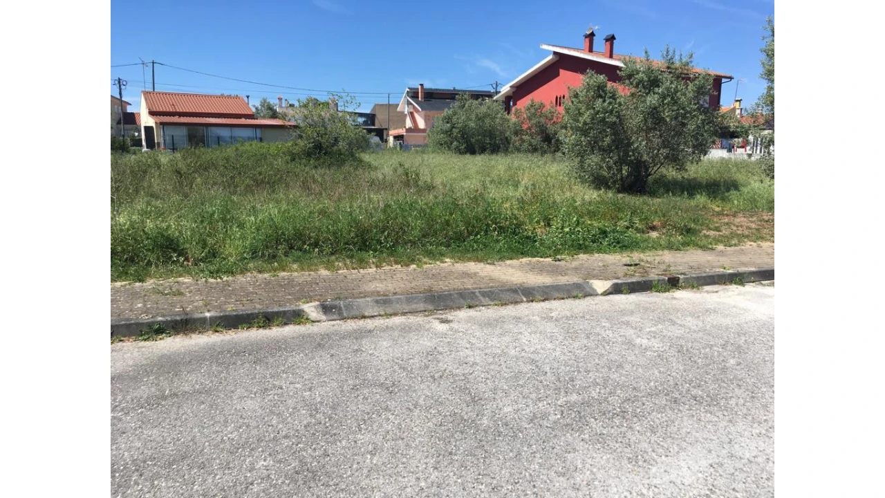 Terreno para Venda em São Martinho de Árvore e Lamarosa Foto 2
