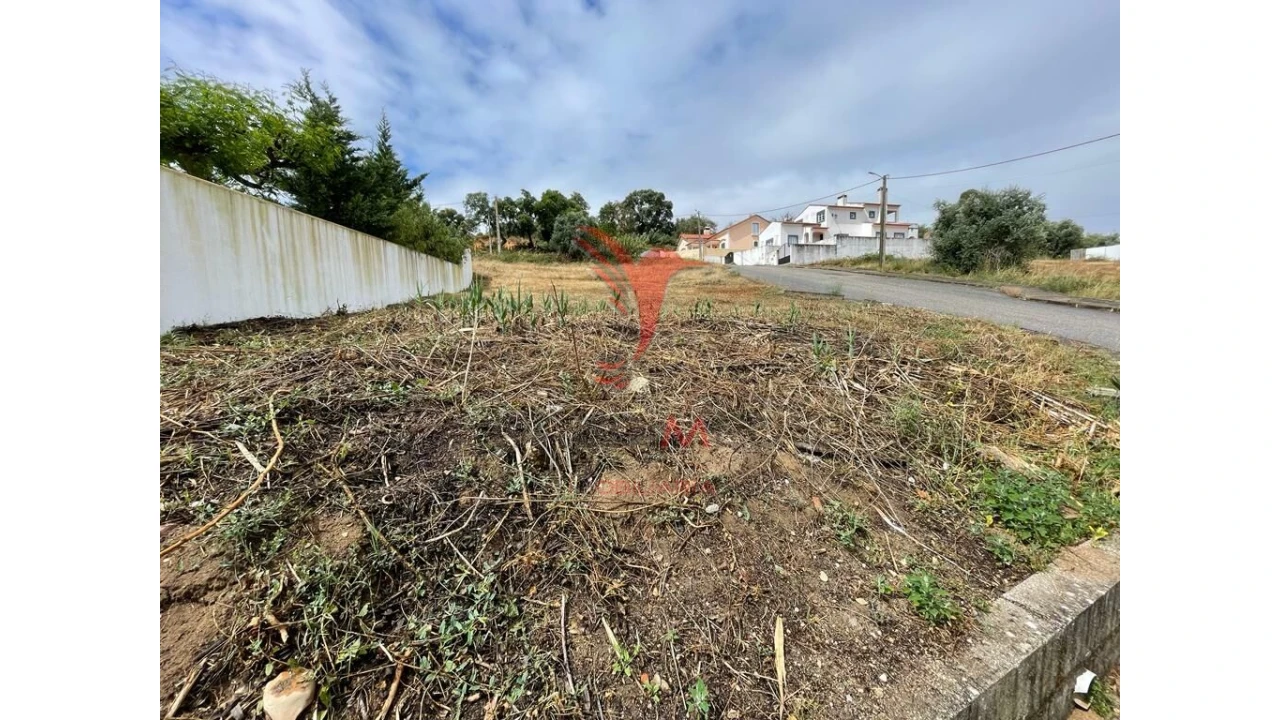 Terreno para Venda em Chamusca e Pinheiro Grande Foto 1