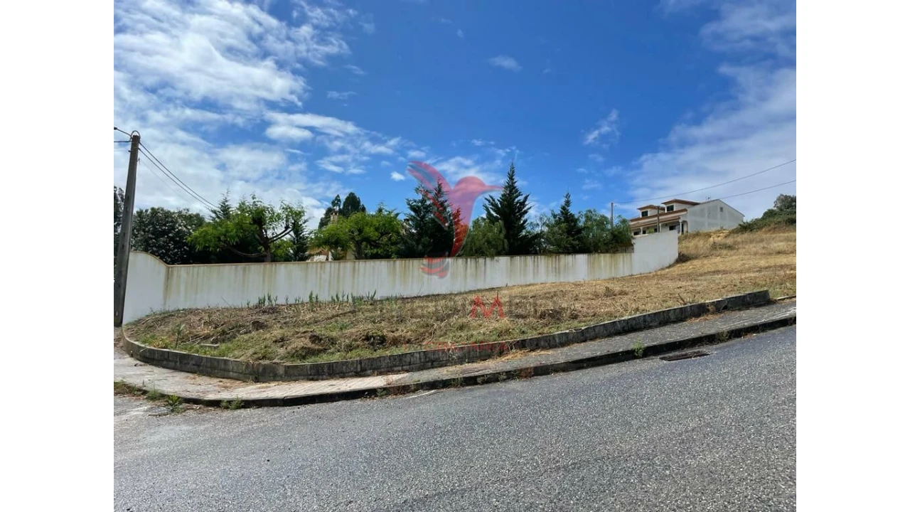 Terreno para Venda em Chamusca e Pinheiro Grande Foto 2